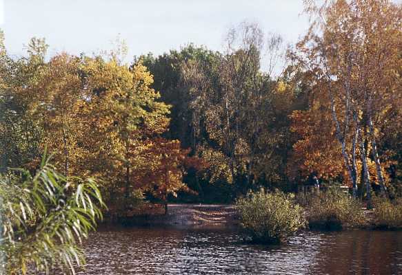 Herbst im Eppendorfer Moor, Hamburg