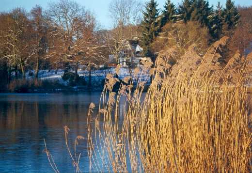 M�hlenteich in Trittau