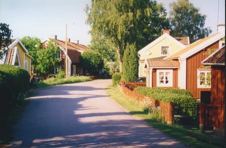Pataholm